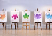 شش فیلمساز قمی در جشنواره چهل و دوم فیلم کوتاه تهران حضور دارند شش فیلمساز قمی در جشنواره چهل و دوم فیلم کوتاه تهران حضور دارند